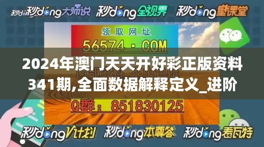 2024年澳门天天开好彩正版资料341期,全面数据解释定义_进阶版110.352