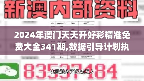 2024年澳门天天开好彩精准免费大全341期,数据引导计划执行_DX版15.495