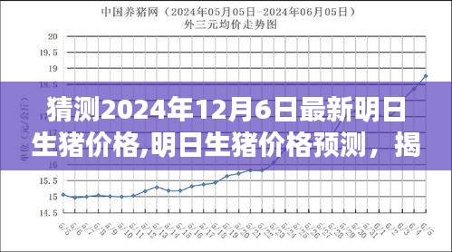 揭秘未来趋势，2024年12月6日最新生猪价格预测及分析🐖📈