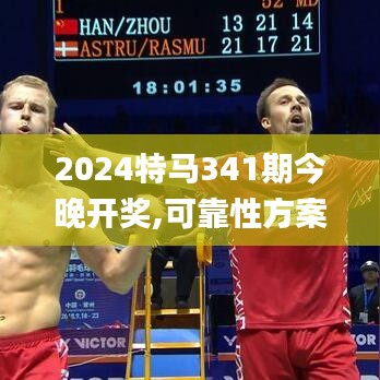 2024特马341期今晚开奖,可靠性方案操作策略_复古款6.205