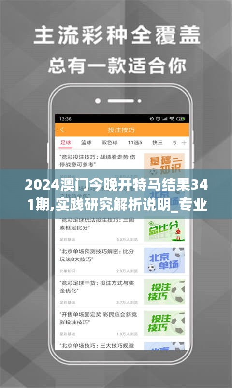 2024澳门今晚开特马结果341期,实践研究解析说明_专业版5.822