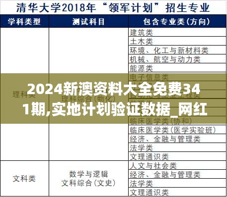 2024新澳资料大全免费341期,实地计划验证数据_网红版5.402