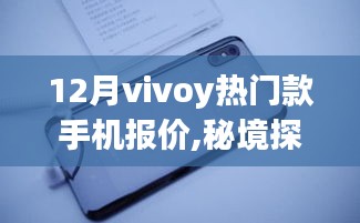 秘境探索，揭秘十二月小巷深处的Vivoy热门款手机报价奇境之旅