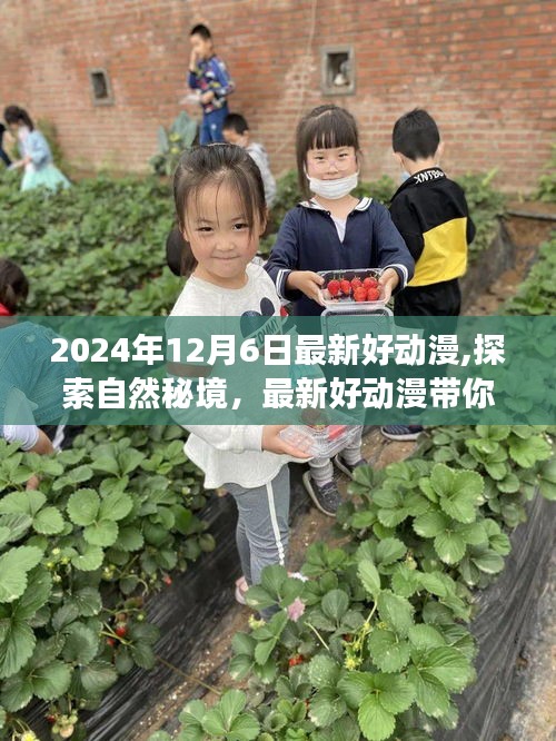 2024年12月6日最新好动漫，自然秘境的心灵之旅