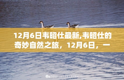 韦昭仕的奇妙自然之旅，寻找内心平静的冒险之旅（12月6日最新）