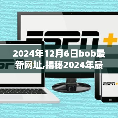 揭秘最新bob网址背后的科技探索与网络安全挑战，犯罪行为的警示解析