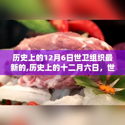 世卫组织历史上的十二月六日动态概览与最新动态报告