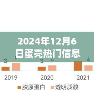 2024年12月6日蛋壳热门信息回顾与展望，揭秘当日热点