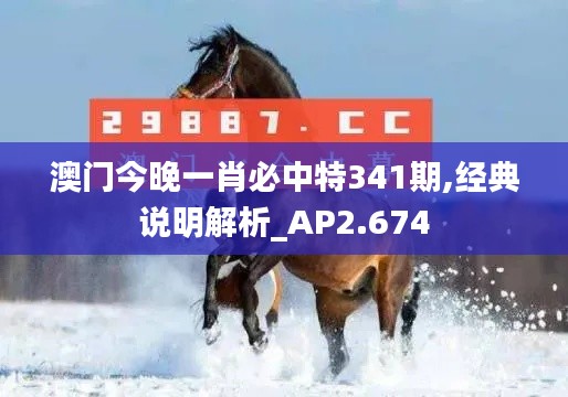 澳门今晚一肖必中特341期,经典说明解析_AP2.674