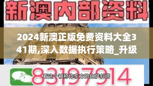 2024新澳正版免费资料大全341期,深入数据执行策略_升级版1.893