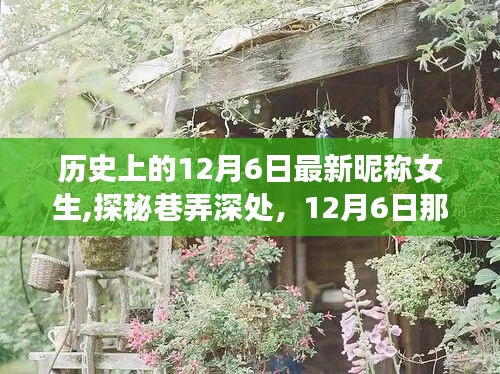 历史上的12月6日最新昵称女生,探秘巷弄深处，12月6日那些女生专属的秘密小店