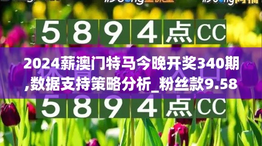 2024薪澳门特马今晚开奖340期,数据支持策略分析_粉丝款9.588