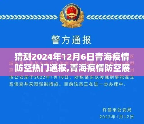 青海疫情防空展望，最新动态与影响洞察（预测至2024年12月）