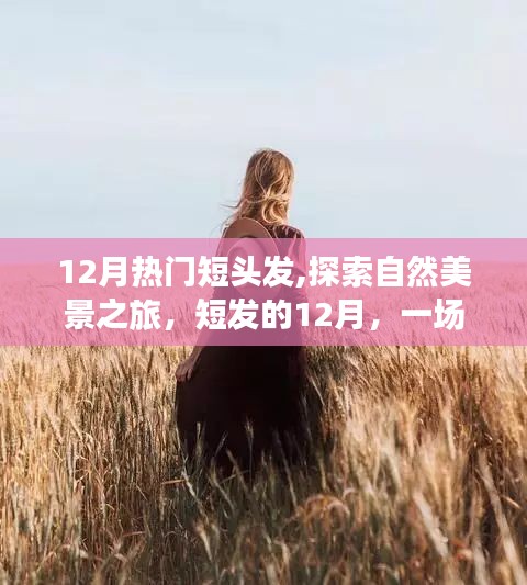 12月热门短头发,探索自然美景之旅，短发的12月，一场远离尘嚣的心灵之旅