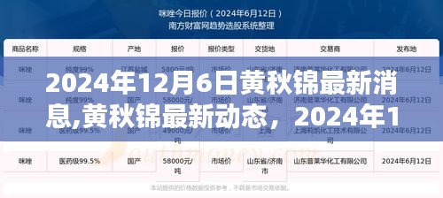 黄秋锦最新动态，探寻未来无限可能于2024年12月6日揭晓