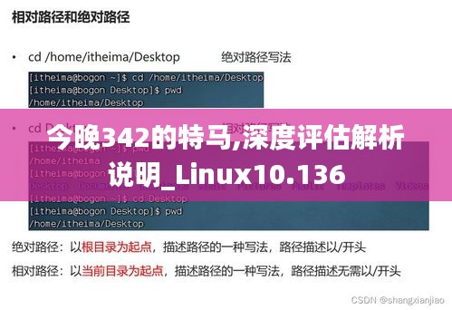 今晚342的特马,深度评估解析说明_Linux10.136