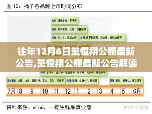 玺恒翔公棚最新公告解读，特性、体验、竞品对比与用户洞察分析