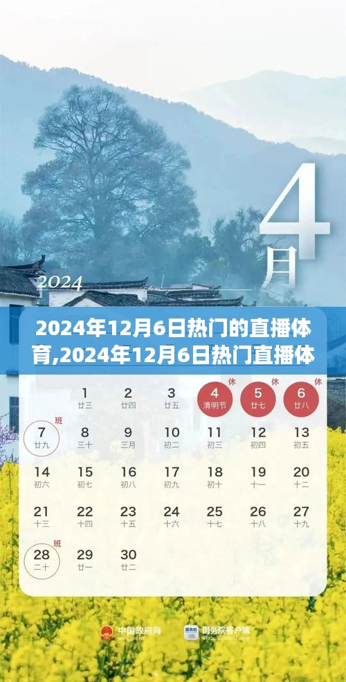 2024年12月6日热门直播体育全面解析，产品评测、体验、竞争分析与用户洞察