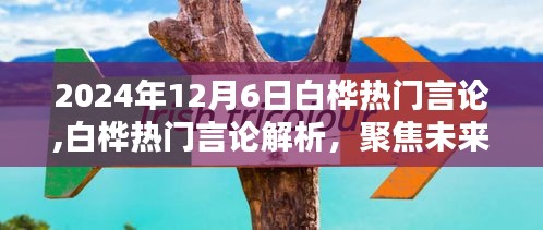 聚焦未来之声，白桦热门言论解析及展望（2024年12月6日）