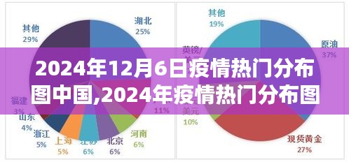 2024年中国疫情热门分布图制作与使用指南（初学者与进阶用户适用）