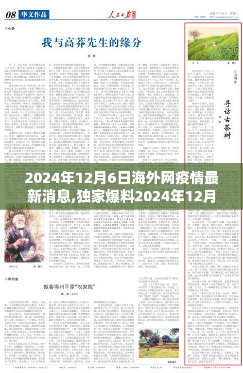 2024年12月6日全球疫情最新动态，海外网独家爆料与小红书疫情指南