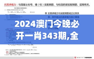 2024澳门今晚必开一肖343期,全面解答解释落实_NE版1.384