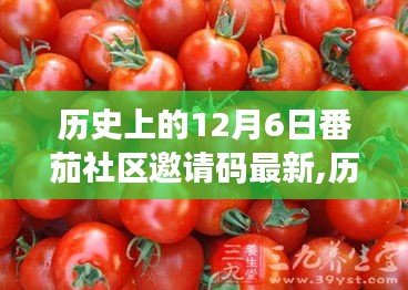 历史上的12月6日，获取番茄社区最新邀请码详细步骤指南