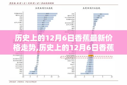 历史上的12月6日香蕉价格走势深度解析，入门指南与技巧探讨