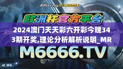 2024澳门天天彩六开彩今晚343期开奖,理论分析解析说明_MR9.232