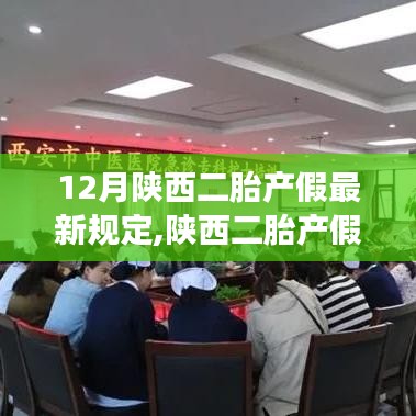 陕西二胎产假新政策下的自信孕育之旅，励志篇章与成就感的孕育之旅