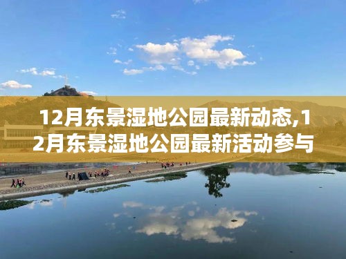 12月东景湿地公园活动指南，最新动态与参与指南，适合初学者与进阶用户