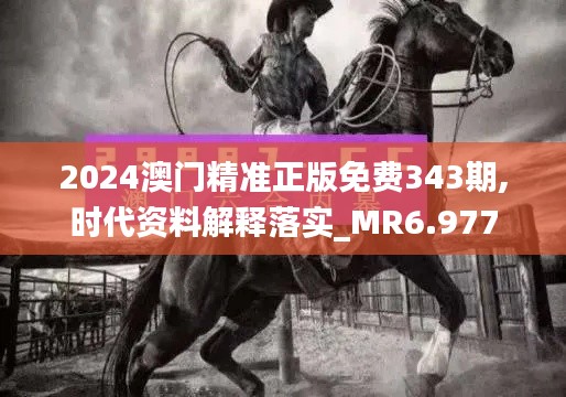 2024澳门精准正版免费343期,时代资料解释落实_MR6.977