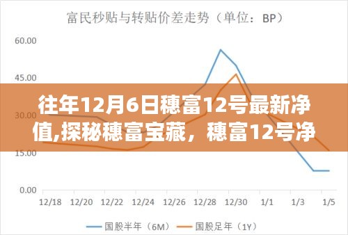 穗富宝藏揭秘，穗富12号净值背后的故事与小店的独特魅力