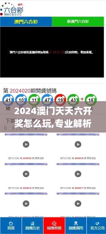 2024澳门天天六开奖怎么玩,专业解析说明_8DM9.191