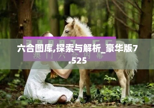 六合图库,探索与解析_豪华版7.525