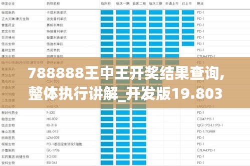 788888王中王开奖结果查询,整体执行讲解_开发版19.803