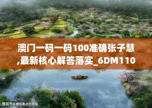 澳门一码一码100准确张子慧,最新核心解答落实_6DM110.775