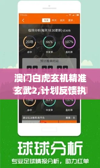 澳门白虎玄机精准玄武2,计划反馈执行_iPhone2.703