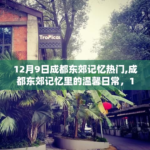 成都东郊记忆，温馨日常与12月9日的特别时光