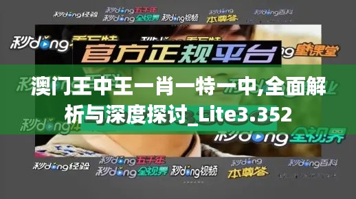 澳门王中王一肖一特一中,全面解析与深度探讨_Lite3.352