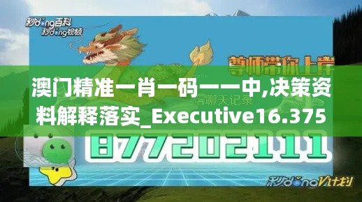 澳门精准一肖一码一一中,决策资料解释落实_Executive16.375