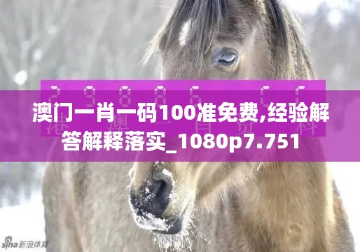 澳门一肖一码100准免费,经验解答解释落实_1080p7.751