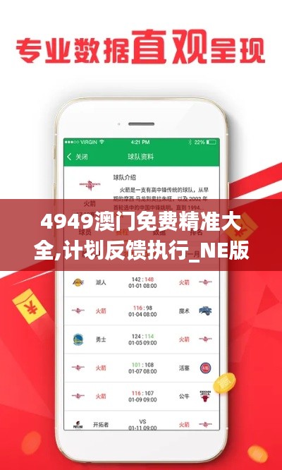 4949澳门免费精准大全,计划反馈执行_NE版4.360