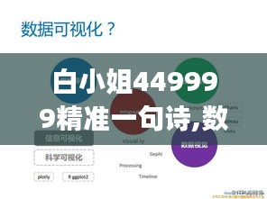 白小姐449999精准一句诗,数据解读说明_PalmOS17.538