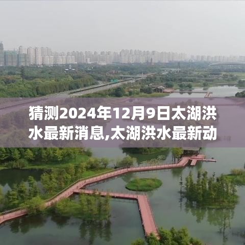 2024年12月9日太湖洪水预测与回顾，最新动态及影响分析