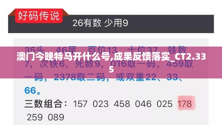 澳门今晚特马开什么号,成果反馈落实_CT2.335