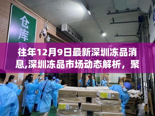 深圳冻品市场动态解析，最新消息与个人观点聚焦十二月九日