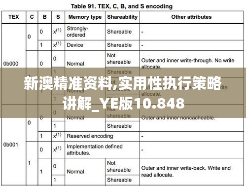 新澳精准资料,实用性执行策略讲解_YE版10.848