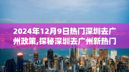 探秘深圳去广州新政策下的隐秘小巷美食秘境（2024年12月9日版）