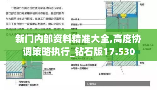 新门内部资料精准大全,高度协调策略执行_钻石版17.530